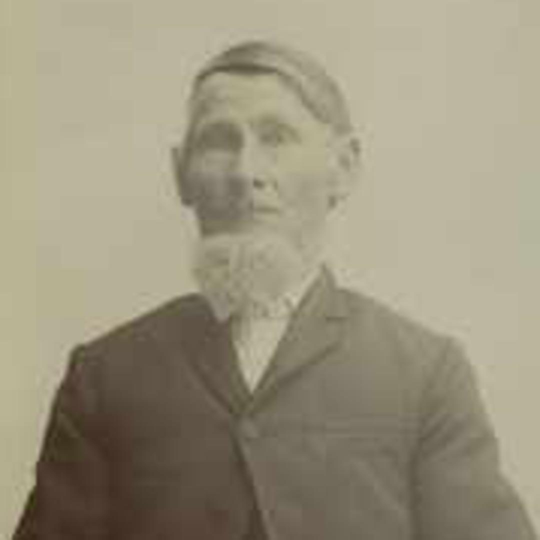 Pehr Larsson (1823 - 1903) Profile